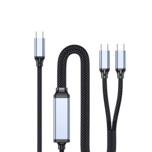 2 in 1 PD 100W 5A USB C to Type C Cable